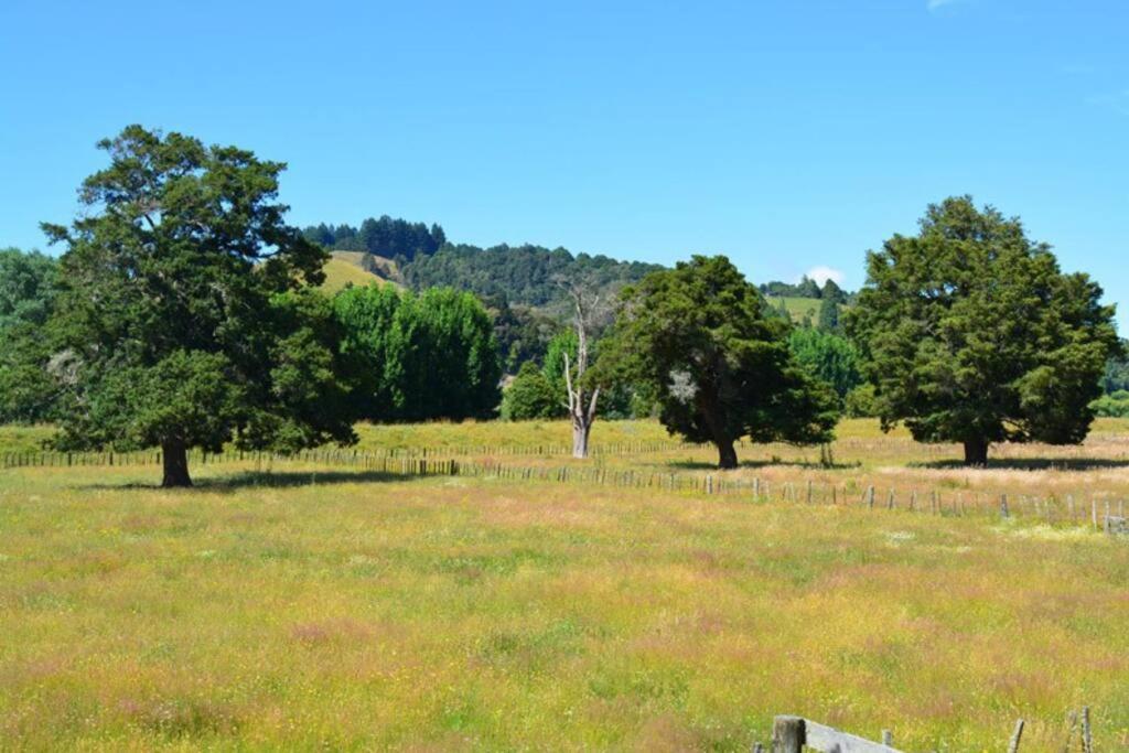 Riverlea Cottage - Cosy, Comfy, Quiet, Central Taumarunui Ngoại thất bức ảnh