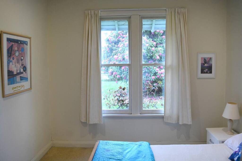 Riverlea Cottage - Cosy, Comfy, Quiet, Central Taumarunui Ngoại thất bức ảnh