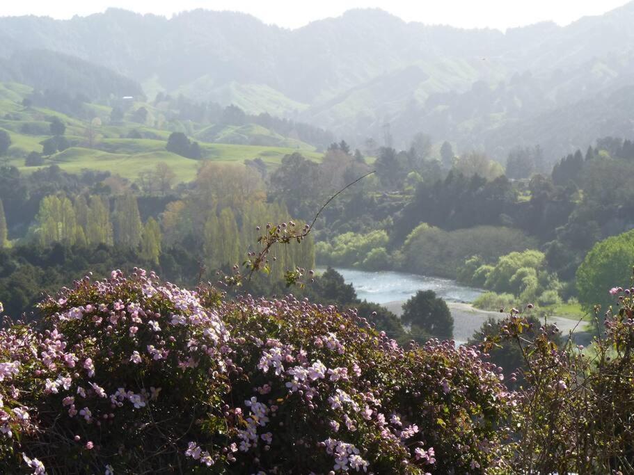 Riverlea Cottage - Cosy, Comfy, Quiet, Central Taumarunui Ngoại thất bức ảnh
